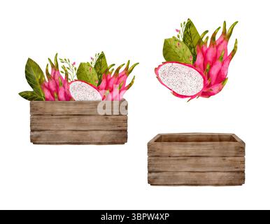 Eine wunderschöne, lebendige Drachenfrucht in einer rustikalen Holzkiste, ideal für visuelle Darstellungen frischer Produkte. Isolierte handgezeichnete Aquarellklammerkunst. Stockfoto