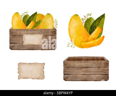 Eine wunderschöne Aquarellillustration mit üppigen Mangos in einer rustikalen Kiste, umgeben von lebendigem Grün. Isolierte handgezeichnete Aquarellklammerkunst. Stockfoto