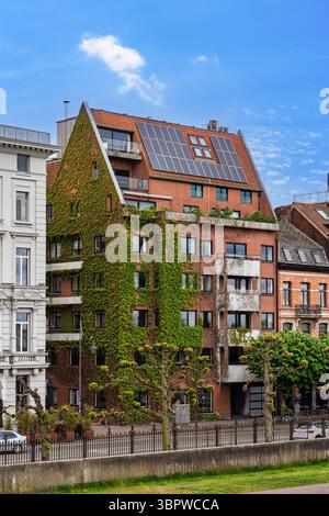 Grüne Fassade nachhaltiges urbanes Leben in Antwerpen, Belgien. Architektur mit Sonnenkollektoren Stockfoto