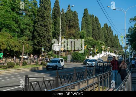 Sotschi, Russland - 5. Juli 2022: Autos fahren auf der Straße entlang des Gehwegs mit grünen Thujas. Stockfoto