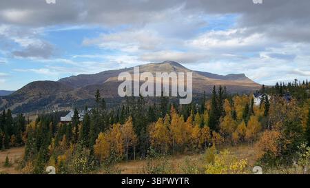 Ein atemberaubender Blick auf Berge und Wälder während der Herbstsaison. Stockfoto