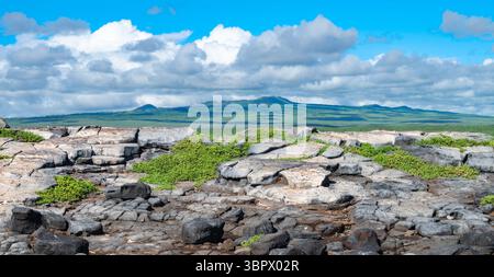 Panoramablick auf South Plaza Rocky Landscape, Galapagos National Park. Stockfoto