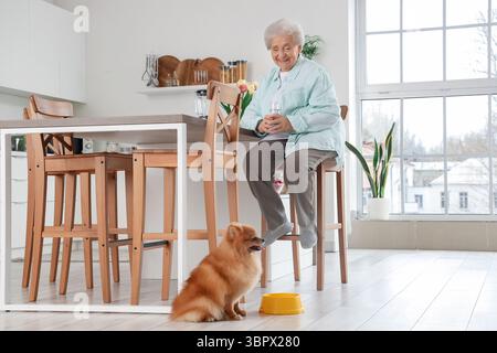 Seniorin mit Glas Wasser und Pommerschen Hund in der Küche Stockfoto