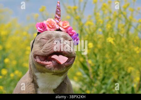 Lustiger französischer Bulldog-Hund mit geschlossenen Augen und rosa Einhorn-Stirnband und Zunge, die vor verschwommenen gelben Blumen ragt Stockfoto