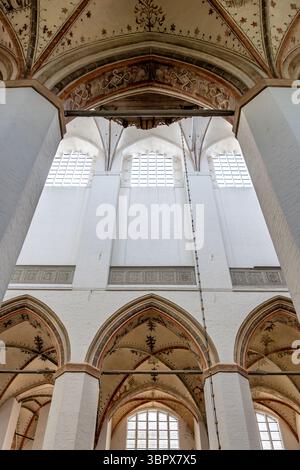 Gotische Kirche im Inneren. Hohe Bogenfenster. Bemalte Tresore Stockfoto