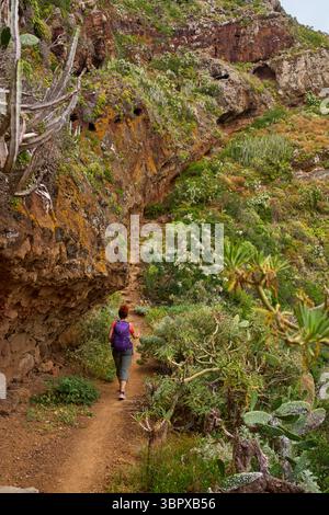 Weibliche Wanderer, die steile vulkanische Pfade durch trockenes und üppiges Gelände in Anaga, Teneriffa, absteigen Stockfoto