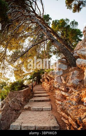 Ein malerischer Steinweg führt bergauf durch ein bewaldetes Gebiet, umgeben von hohen Bäumen und felsigem Gelände, unter einem klaren Himmel. Stockfoto