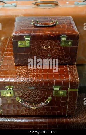 Passendes Set aus Krokodilleder Stockfoto