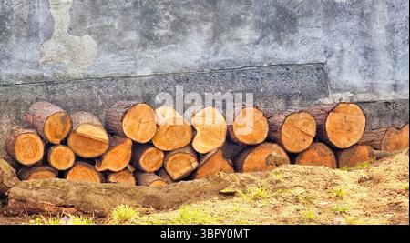 Ein ordentlich gestapelter Haufen frisch geschnittener Brennholzstämme auf einer rustikalen Steinmauer, die im Winter Wärme und Komfort bieten. Stockfoto