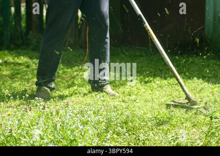 Man mäht Gras mit einem elektrischen Handrasenmäher im Garten Stockfoto