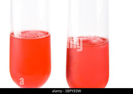 Kosmopolitischer Cocktail in Sektgläsern, gekühlt auf weißem Hintergrund Stockfoto
