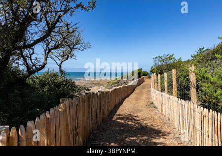 Zollweg in Talmont Saint Hilaire (Vendee - Frankreich) Stockfoto