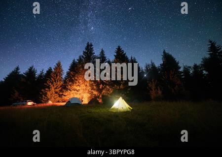 Mehrere Zelte, beleuchtet durch glühendes Lagerfeuer auf einer grasbewachsenen Rodung unter klarem Sternenhimmel. Umgeben von hohen Kiefern in den Bergen. Die ruhige Schönheit der Nacht, die Sie in der Natur verbracht haben. Stockfoto