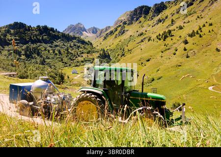 SAVOIE, FRANKREICH - 12. AUGUST 2016: Landwirt melkt Kühe (leere Dosen im Wohnwagen) auf die Hochgebirgsweide. Traditionelle Landwirtschaft in den französischen Alpen Stockfoto