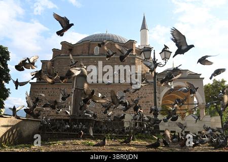 Sofia, Bulgarien - 14. Juni 2025: Banya-Baschi-Moschee in Sofia. Stockfoto