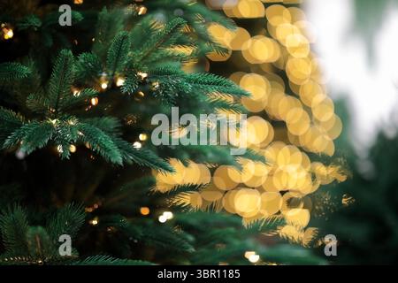 Grüner Weihnachtsbaum Nahaufnahme und leuchtende goldene Lichter mit Bokeh-Effekt auf unscharfem Hintergrund. Selektiver Fokus. Stockfoto