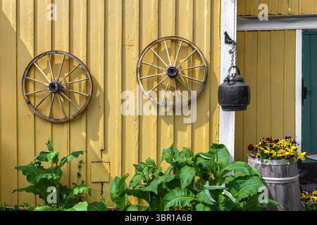 Eine rustikale gelbe Scheunenwand mit zwei hölzernen Wagenrädern und einer hängenden Glocke. Im Vordergrund verleihen leuchtende Blumen in einem Fass Farbe. Stockfoto