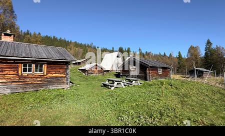 Eine Sammlung bezaubernder Holzhütten in einem lebhaften grünen Feld unter einem klaren blauen Himmel. Stockfoto