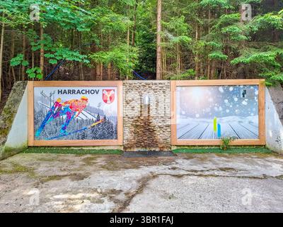 Harrachov – Tschechisch – 26. Juni 2025: Ein Mädchen fängt Wasser aus einer Mineralquelle auf einem Berg in Harrachov, Tschechien. Hochwertige Fotos Stockfoto