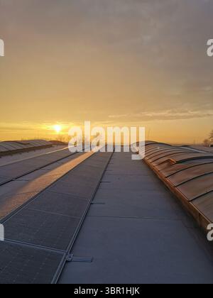 Solarpaneele, die auf dem Dach installiert sind Stockfoto