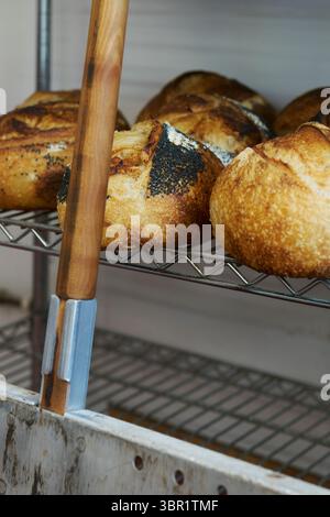 Frisch gebackener Sauerteig kühlt auf Regalen in der Bäckerei mit Paddel an Regalen Stockfoto