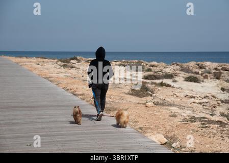 Frau mit schwarzem Kapuzenpullover, die zwei pommersche Hunde an der Leine auf einer Holzsteg neben dem Meer läuft Stockfoto