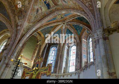 Gewölbte Apsis der Basilika Saint Clare, Assisi, Italien, mit gotischen Rippengewölben, blauer Sternendecke, Buntglasfenstern, Fresken und bemalter Kruste Stockfoto