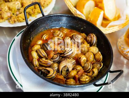 Beliebte spanische Tapas - hausgemachte Schnecken, gedünstet mit Chorizo-Würstchen in Sauce. Stockfoto