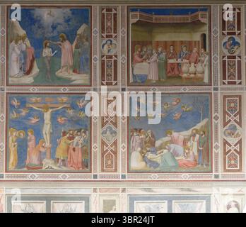 Fresken mit Szenen aus dem Leben Christi in der Scrovegni-Kapelle in Padua, Italien, gemalt von Giotto. Stockfoto