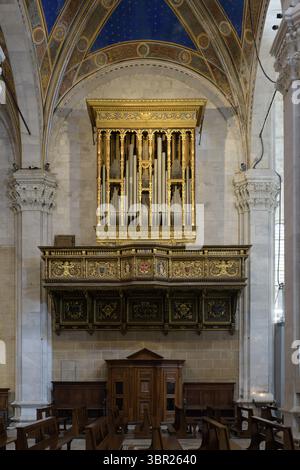 Barocke Pfeifenorgel mit kunstvoll vergoldetem Gehäuse in der Kathedrale von San Martino, Lucca, Italien, mit bemalten Gewölben und Marmorarchitektur. Stockfoto