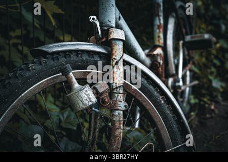Detaillierte Nahaufnahme eines Fahrrad-Dynamogenerators, der auf einem alten, rostigen Fahrrad montiert ist. Aufnahmen mit geringer Schärfentiefe und Kinotönen. Stockfoto