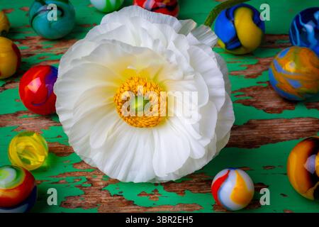 Weiße Ranunkeln-Blume Und Marbles Auf Alten Abgenutzten Grünen Tisch Stillleben Stockfoto