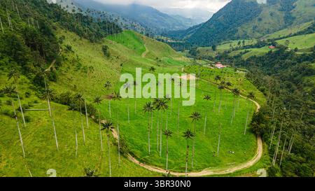 Atemberaubende Aussicht auf das Valle del Cocora aus der Vogelperspektive mit üppigen grünen Hügeln und hohen Wachspalmen unter einem dramatischen Himmel. Stockfoto