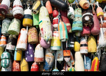 Yarmouth, Kanada. Juni 2025. Hummerbojen hängen an einer Wand. Quelle: Sebastian Kahnert/dpa/Alamy Live News Stockfoto