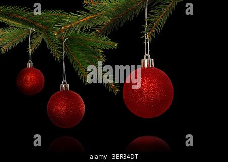 Drei rote Glitzerkugeln hängen an üppigen Kiefernzweigen im 3D-Rendering mit dunklem Hintergrund Stockfoto