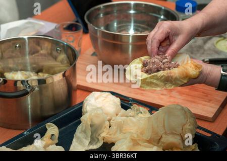 Weibliche Hände hüllen Hackfleisch in einen Kohl, innen Nahaufnahme Stockfoto
