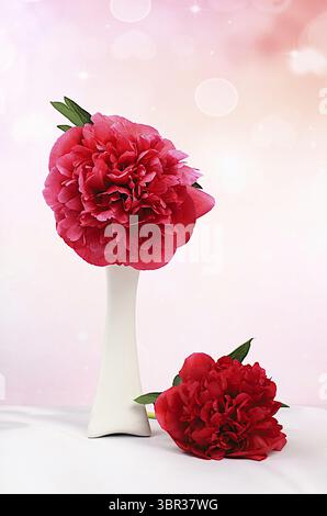Blumenanordnung des Blumenstraußes mit burgunderroten frischen Pfingstrosenblüten in Vase, Vorlage für Design und Produktanzeige, natürliches Stillleben für Banner.Frühling Stockfoto