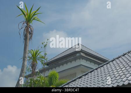Dekorative, gekachelte Dachterrasse einer tropischen Villa, die von schlanken Palmen vor einem klaren blauen Himmel eingerahmt ist und Charme und architektonische Eleganz am Meer vermittelt. Stockfoto