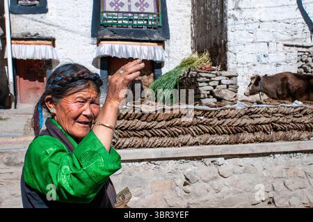 26. August 2011, Tibet, China: Häuser und Einheimische in Gyantse Village oder Gyangze Town, Tibet, China. Gelegen im Nordosten von Gyantse auf 3900 Meter über dem Meeresspiegel. Pelkor chode Kloster oder besser gesagt Palcho Kloster in tibetischer Sprache bedeutet verheißungsvolles Kloster. Sie wurde Anfang des 15. Jahrhunderts erbaut und dauerte 10 Jahre. Weil es gebaut wurde, als verschiedene religiöse Sektoren Hals und Hals in Tibet miteinander in Konflikt standen, existieren dort Sakyapa, Kadampa und Gelukpa des tibetischen Buddhismus. Jeder religiöse Sektor hat fünf bis sechs Dratsang-Schulen im Kloster. (Kreditbild: © Serg Stockfoto