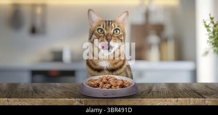 Hauskatze isst Katzennassfutter am Tisch Stockfoto