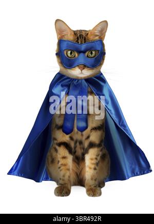 Eine bezaubernde rote Katze in einem blauen Superheldenkostüm sitzt auf weißem Hintergrund. Cat - Superheld isoliert Stockfoto