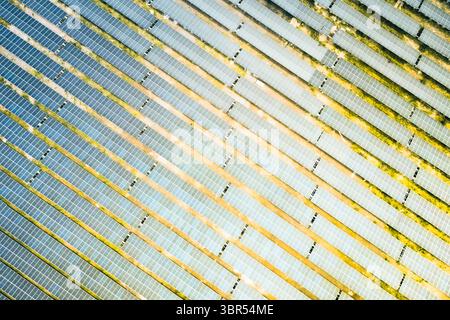 Vertikale vertikale Solarpaneele aus der Luft im kaukasus, die die Erzeugung erneuerbarer Energien und die nachhaltige Entwicklung hervorheben. Innovation in Europa Stockfoto