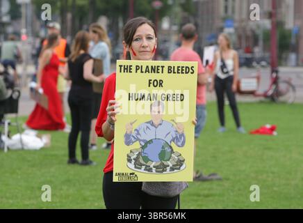 18. Juli 2020, Amsterdam, Niederlande: Aktivisten der Tieraufstände nehmen am 18. Juli 2020 im Rahmen der Coronavirus-Pandemie am Museumplein unter dem Motto „Blut an den Händen“ an einer Protestaktion Teil. Die Animal Rebellion Netherlands Movement fordert die Regierung auf, einen Übergang zu einem pflanzlichen Lebensmittelsystem zu führen, um die Klimakrise zu lösen. (Kreditbild: © Paulo Amorim/VW Pics via ZUMA Wire) Stockfoto