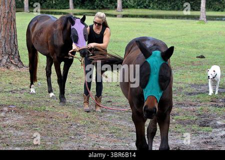 30. Juli 2020, Jupiter, FL, USA: Sara Faulkner lebt in Südflorida und verbringt einen Teil ihrer Zeit ehrenamtlich im Aurelia's Animal Sanctuary in Jupiter, Florida, wo sie sich um gerettete Tiere kümmert, darunter Pferde, Emus, Schildkröten, Hunde und Pfauen. (Kreditbild: © TNS via ZUMA Wire) Stockfoto