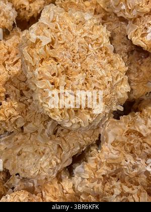 Nahaufnahme des Trockenschneepilzes. Auch bekannt als weißer Pilz, Silberohrpilz oder Schneeohrenpilz, ist es eine Art essbarer Pilz, die in China weit verbreitet ist Stockfoto