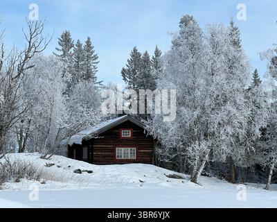 Eine charmante Holzhütte in einer schneebedeckten Winterlandschaft mit frostigen Bäumen. Stockfoto