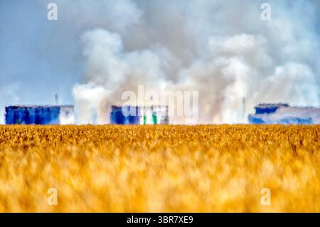 5. Oktober 2019, Isla Mayor, Provincia de Sevilla, EspaÃ±A: Stoppeln brennen in den Reisfeldern, Isla Mayor, Sevilla, Spanien (Bild: © Felipe Rodriguez/VW Pics Via ZUMA Wire) Stockfoto
