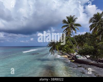 Aus der Vogelperspektive auf türkisfarbenes Wasser schlängelt sich sanft gegen die Sandküste, gesäumt von wogenden Palmen unter einem riesigen, bewölkten Himmel, Maalhos, Baa Atoll, Malediven. Stockfoto