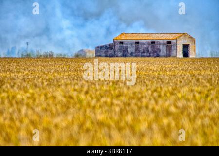 5. Oktober 2019, Isla Mayor, Provincia de Sevilla, EspaÃ±A: Stoppeln brennen in den Reisfeldern, Isla Mayor, Sevilla, Spanien (Bild: © Felipe Rodriguez/VW Pics Via ZUMA Wire) Stockfoto