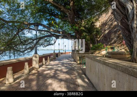 6. Februar 2017, Old San Juan, Puerto Rico, Vereinigte Staaten: Der Paseo de la Princesa wurde 1853 für den Besuch einer spanischen Prinzessin erbaut, die damals nie besuchte. Es ist eine wunderschöne, von Bäumen gesäumte Promenade zwischen der Bucht und der alten Stadtmauer von Old San Juan, Puerto Rico. (Kreditbild: © Jon G. Fuller, Jr/VW Bilder via ZUMA Wire) Stockfoto